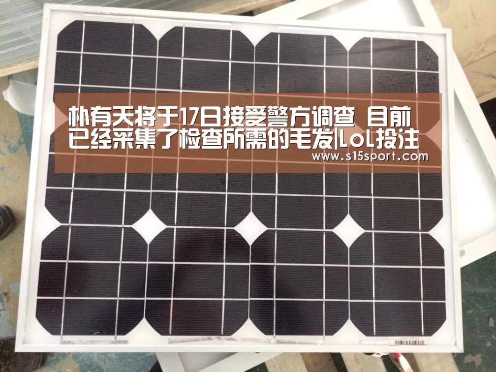 LoL投注网站官网