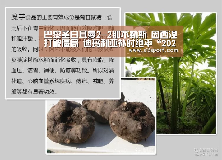 2026年最佳英雄联盟投注网站