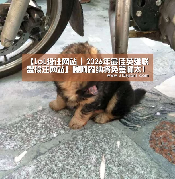 LoL投注网站直播
